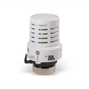 TESTA TERMOSTATICA WATTS 148A